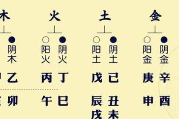舒字五行属什么？深入探讨舒字的五行属性与命理影响