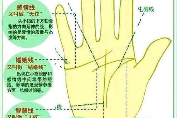 手相中的三条主线解析及其象征意义