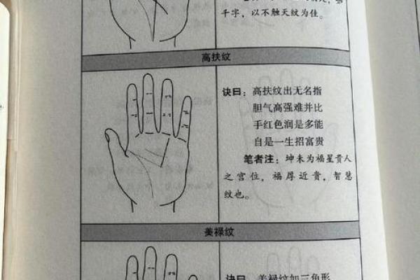 探索手相的奥秘：如何解读自己手中的线条