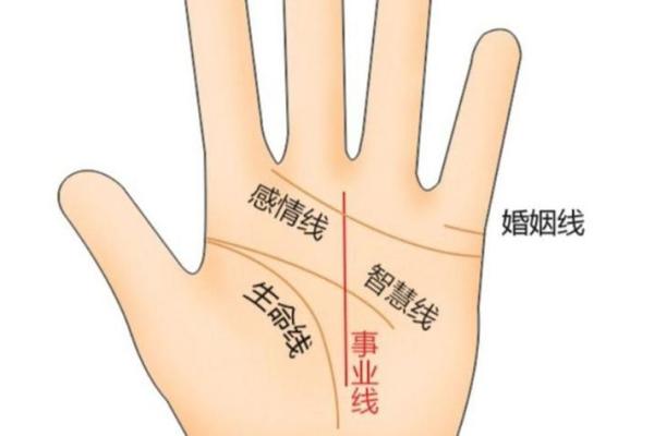 探索手相的奥秘：如何解读自己手中的线条
