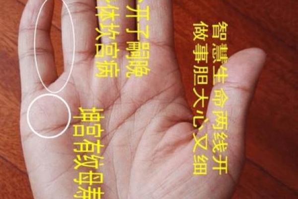 手相解读妙不可言，揭示命运玄机所在