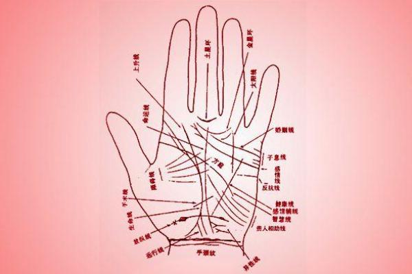 手相解读妙不可言，揭示命运玄机所在
