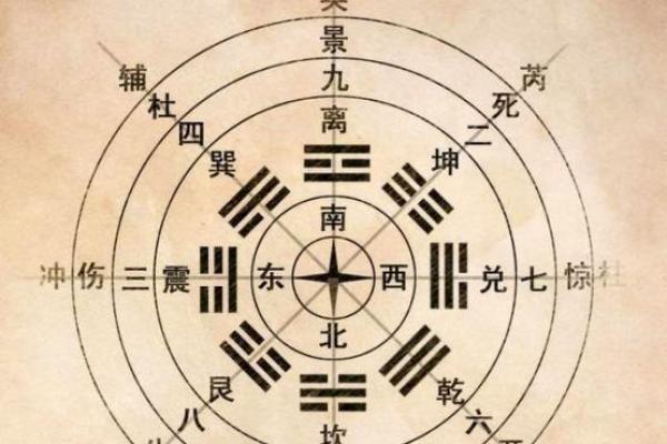 探索地支连茹对命理学的深远影响