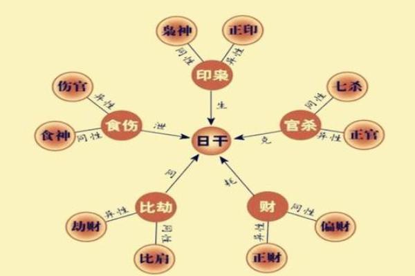 探索地支关系图：如何通过地支相生相克预测运势