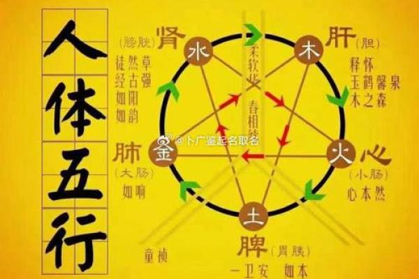 木土命理在风水中的应用与调和技巧
