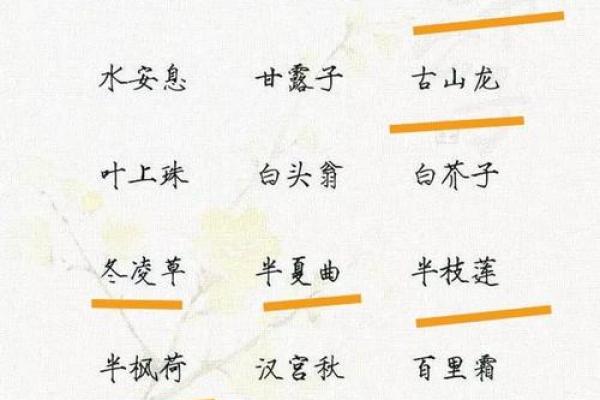 名字打分测试：为你的名字评分，了解它的好运与挑战