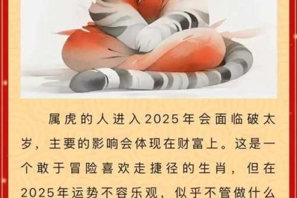 倪妮命理揭秘：生肖与命运的深度联系