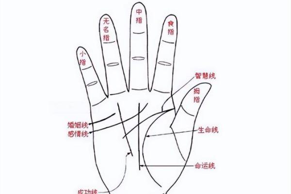 手相变化的秘密，你了解多少
