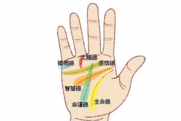 从科学角度看手相是否会发生变化