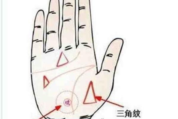从科学角度看手相是否会发生变化