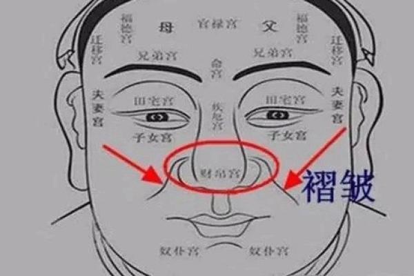 男人鼻子面相特征与财运、事业的深层联系