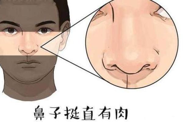 男人鼻子面相特征与财运、事业的深层联系
