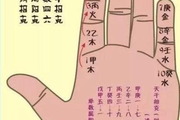 天干地支与五行的深度关系解析