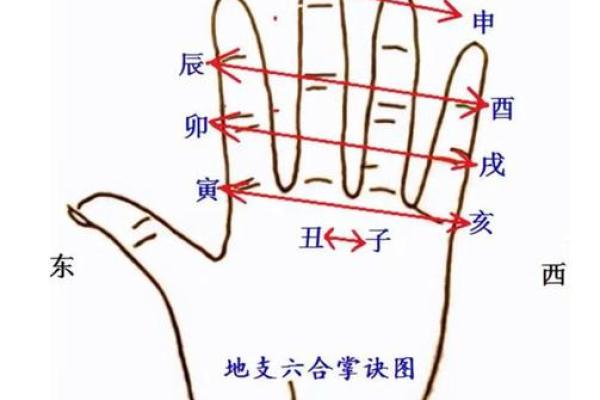 天干地支与五行的深度关系解析