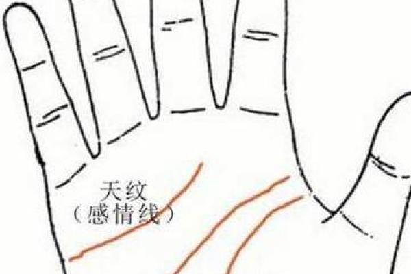 你相信手相算命吗 它的准确性如何分析