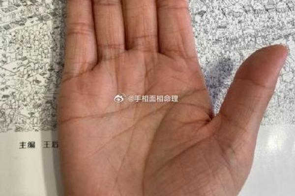 从科学角度探讨手相与面相的准确性
