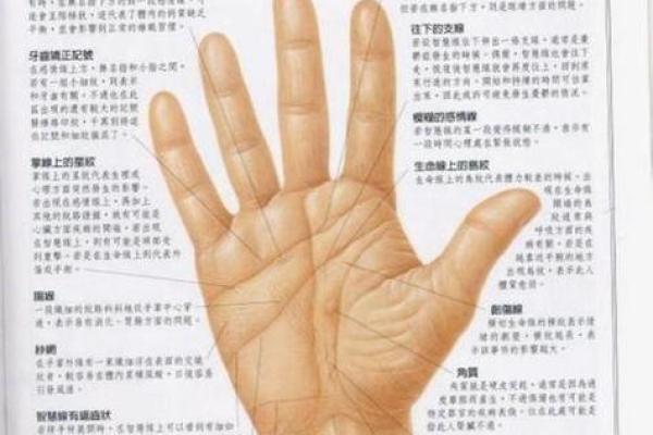 从科学角度探讨手相与面相的准确性