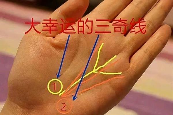 桃花异性缘旺手相解析：如何通过掌纹看爱情运势