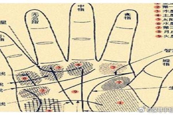 桃花异性缘旺手相解析：如何通过掌纹看爱情运势