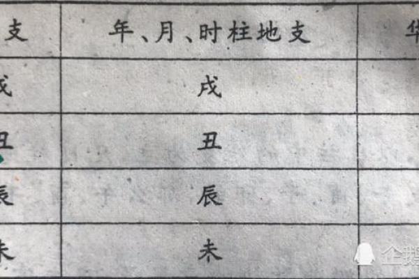 八字中华盖星的象征意义与命运解析