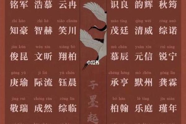 肖姓男宝宝取名的技巧与寓意解析