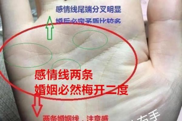手相解析：掌握自己未来的钥匙