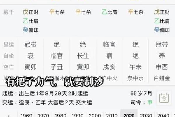 食神在八字中的作用与影响解析
