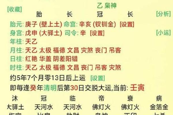 食神在八字中的作用与影响解析