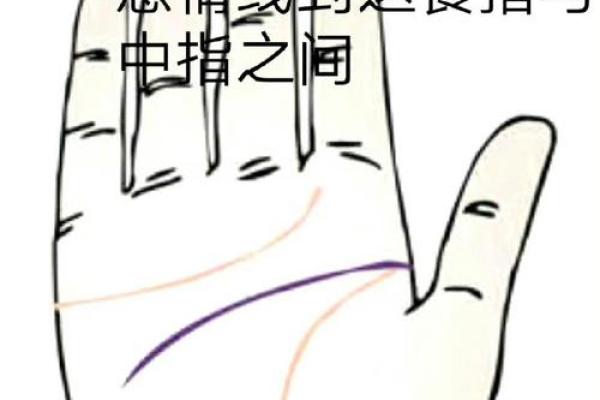 手相感情线解析：如何通过感情线解读爱情运势