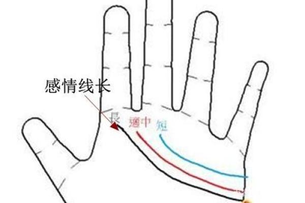 手相感情线解析：如何通过感情线解读爱情运势