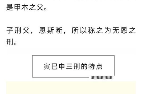 十二地支相刑的奥秘与影响解析