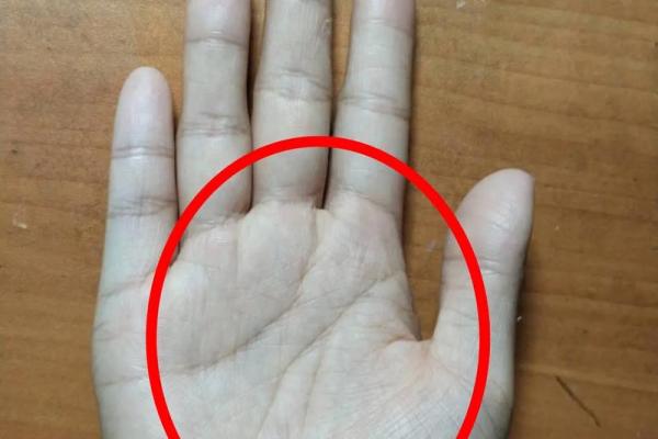最靠谱的手相分析平台推荐，准到让你惊讶