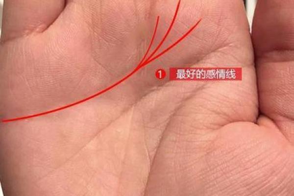 最靠谱的手相分析平台推荐，准到让你惊讶