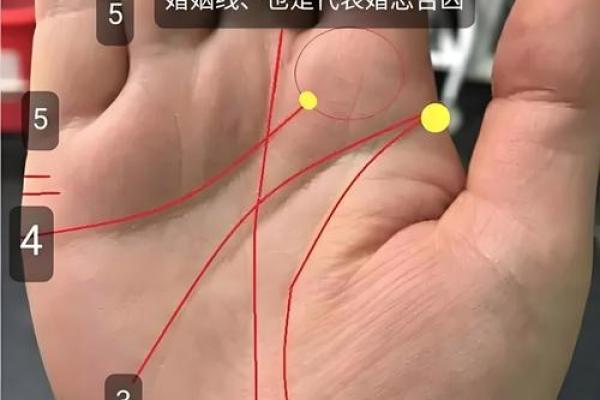 大师眼中的手相与命运的联系