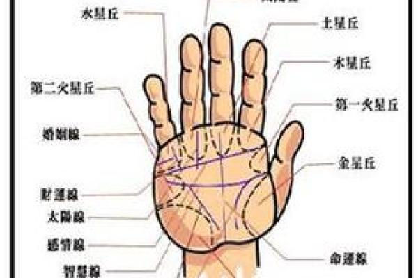 男人手相中的财富标志与解读