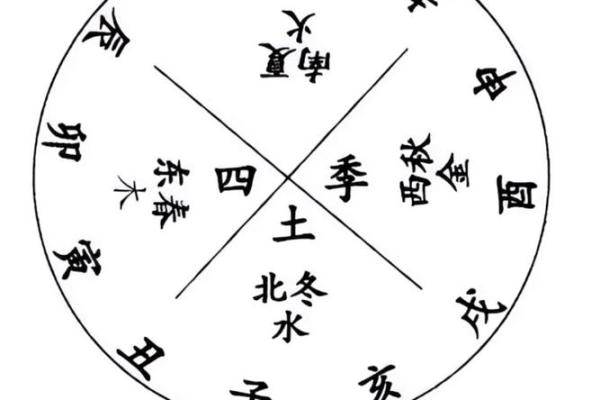 十二地支五行属性解析与应用探讨