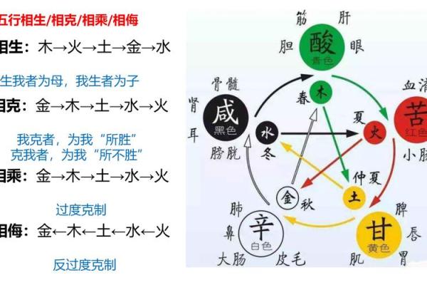 十二地支五行属性解析与应用探讨