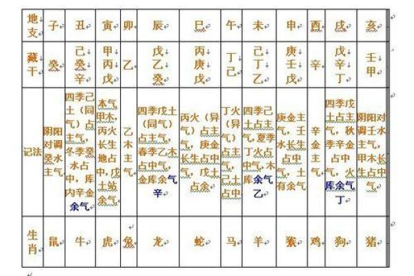 命理秘密解码：如何通过五行了解人生轨迹