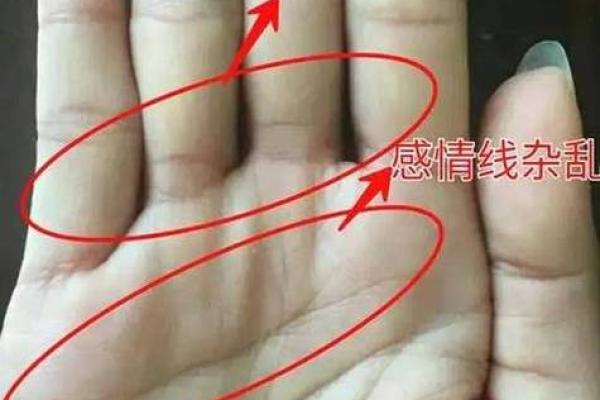 成功男人的手相如何揭示其事业轨迹