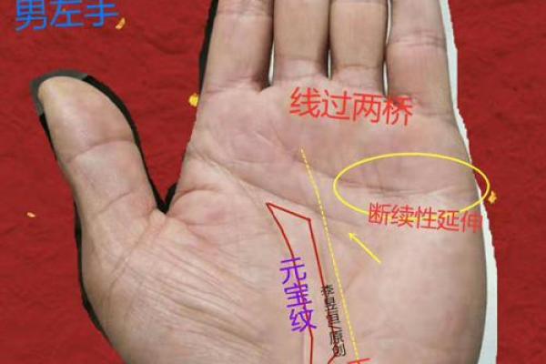 成功男人的手相如何揭示其事业轨迹