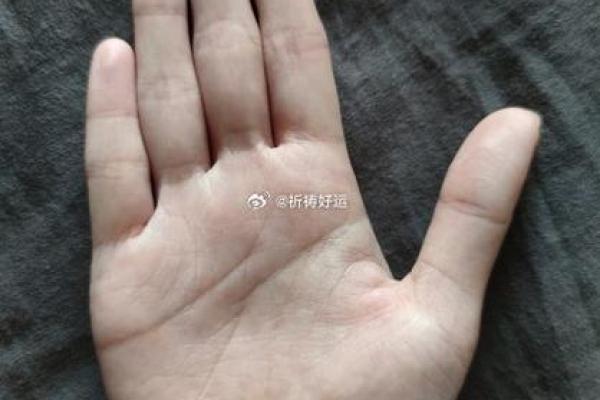 用手机拍手相，揭开你命运的秘密