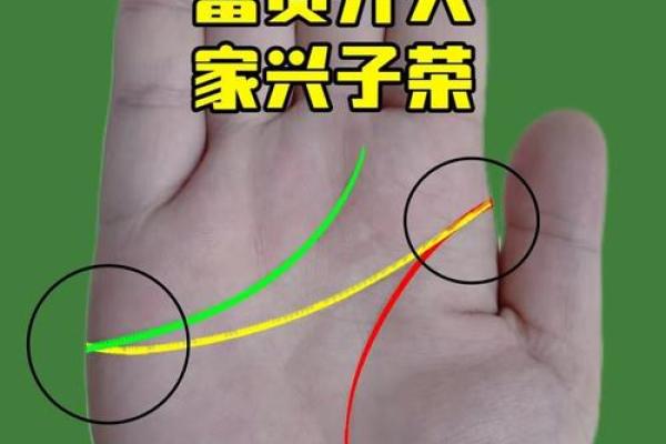 手相福禄寿三丘隆起如何影响你的事业与幸福