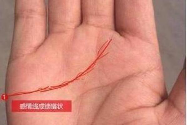 男性手相图解详解 揭开性格与命运的奥秘