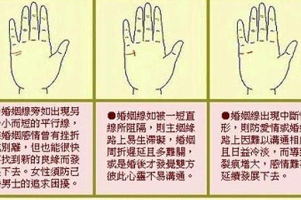 手相学揭秘：从线条到生命的深层含义