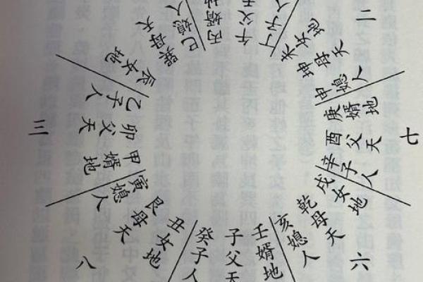 十二地支类象的奥秘：命运与性格的双重启示
