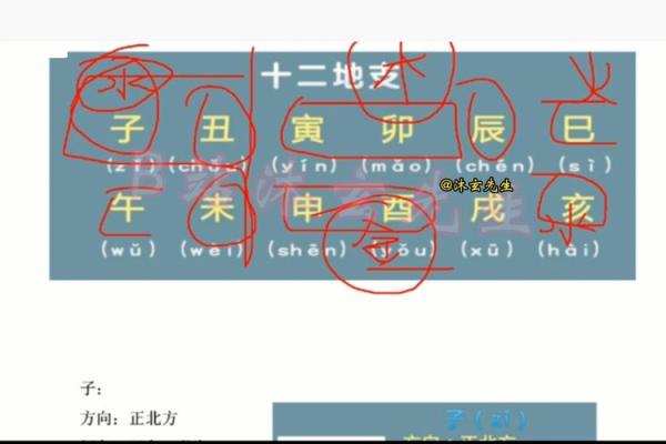 十二地支类象的奥秘：命运与性格的双重启示