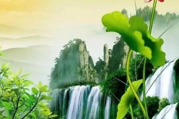 解读梦境中的树木：深层心理与人生寓意