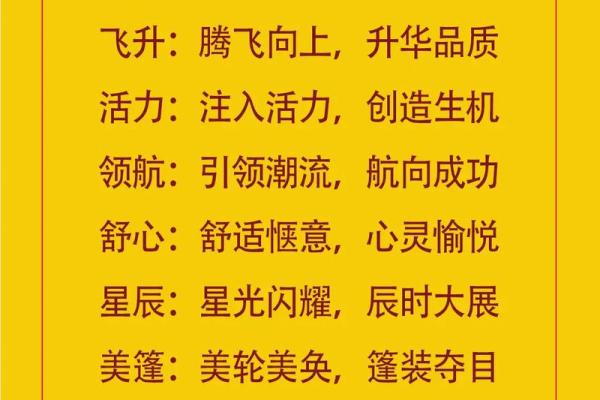 专业起名公司为您定制个性化品牌名称