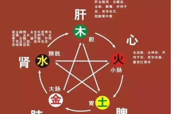 素字的五行属性解析及其在命理中的意义