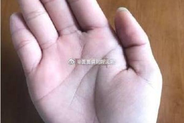 金星带手相：你是否具备强烈的吸引力和幸福潜力？
